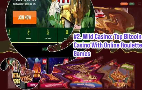 Go wild casino